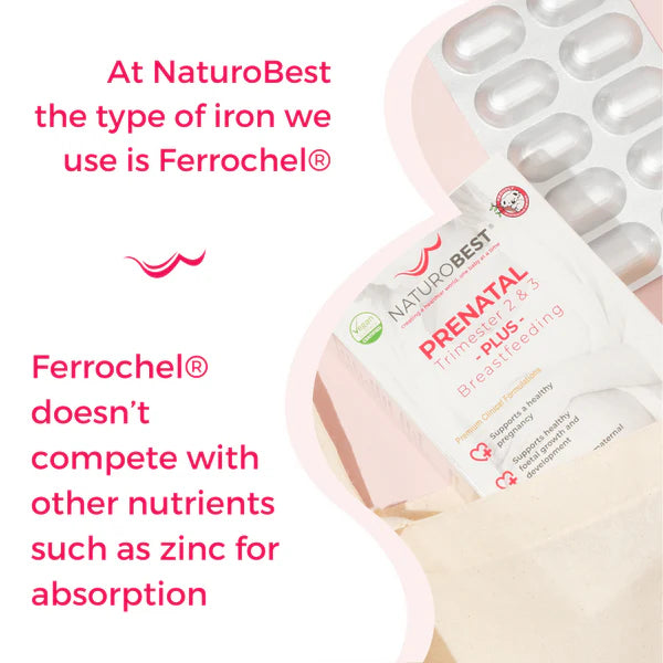 Prenatal Trimester 2 & 3 Plus Breastfeeding | Pregnancy & Breastfeeding Vitamins